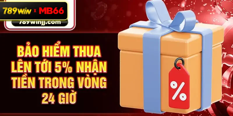 Bảo hiểm thua lên tới 5% nhận tiền trong vòng 24 giờ