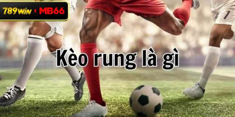 Kèo rung là gì? Cách hiểu đúng về loại kèo biến động trong cá độ bóng đá Kèo rung là gì? Cách hiểu đúng về loại kèo biến động trong cá độ bóng đá
